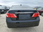 Lot #3023755956 2009 LEXUS ES 350