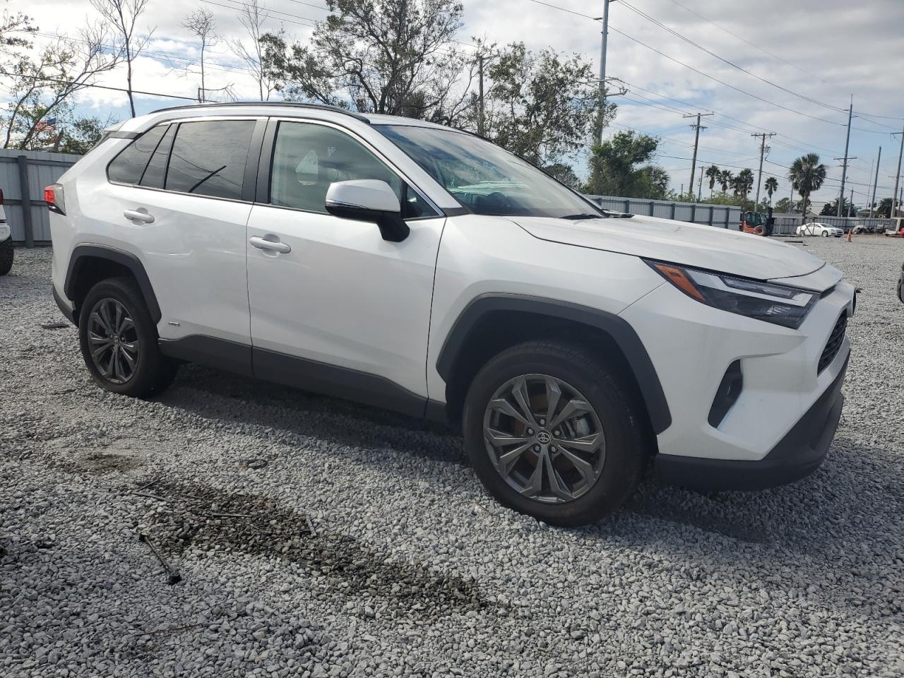 Lot #3041987229 2023 TOYOTA RAV4 XLE P