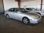 LEXUS ES 330 JTHBA30GX55121650 photo