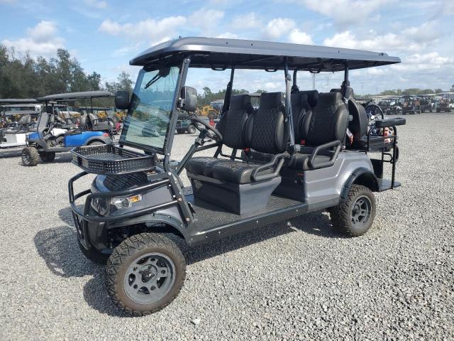 ASPT GOLF CART 2023 gray   FLA127917 photo #3