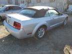 Lot #3024565623 2006 FORD MUSTANG