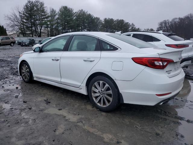 2016 HYUNDAI SONATA SPO - 5NPE34AF4GH390878