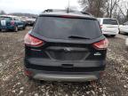 Lot #3023823913 2013 FORD ESCAPE SE