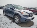 Lot #3033011002 2009 HONDA CR-V EXL