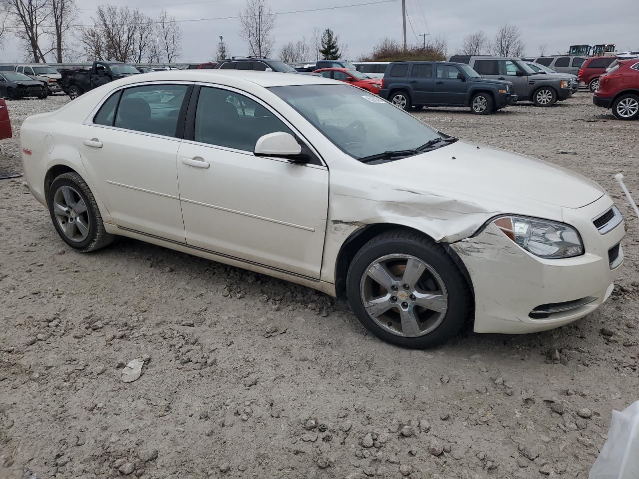 Lot #3034442729 2011 CHEVROLET MALIBU 1LT