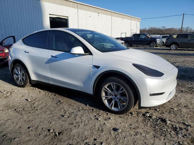2023 TESLA MODEL Y 7SAYGDEE0PA123559