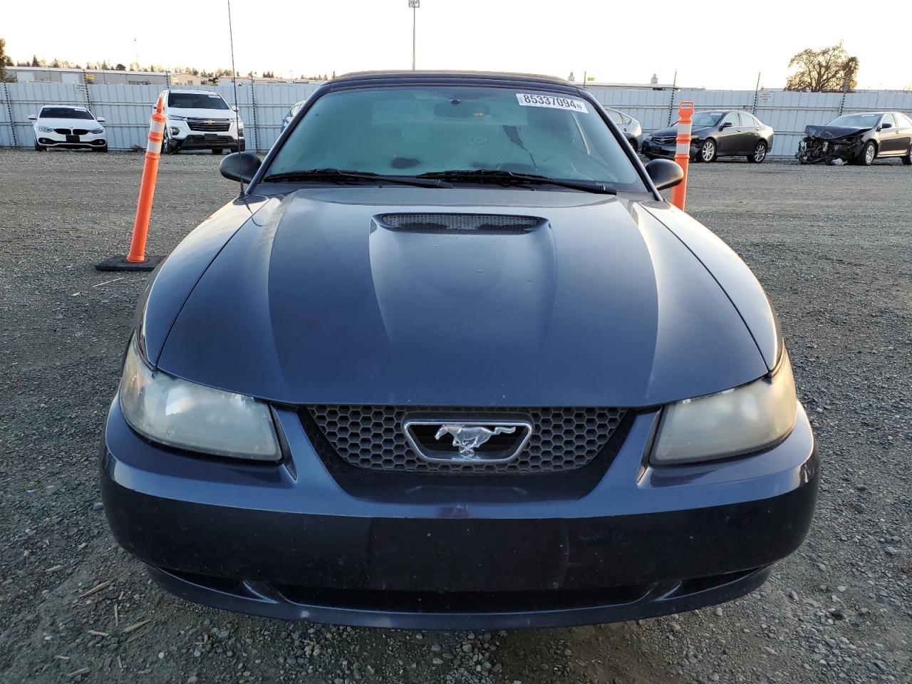 Lot #3028611931 2002 FORD MUSTANG