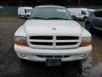 Lot #3027259321 1999 DODGE DURANGO