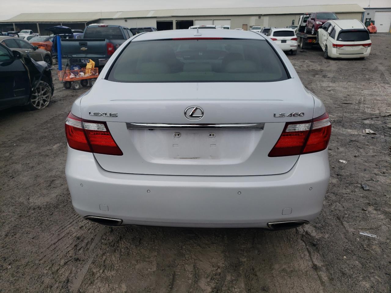 Lot #3029656096 2008 LEXUS LS 460