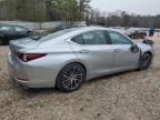 Lot #3033170206 2023 LEXUS ES 350 BAS