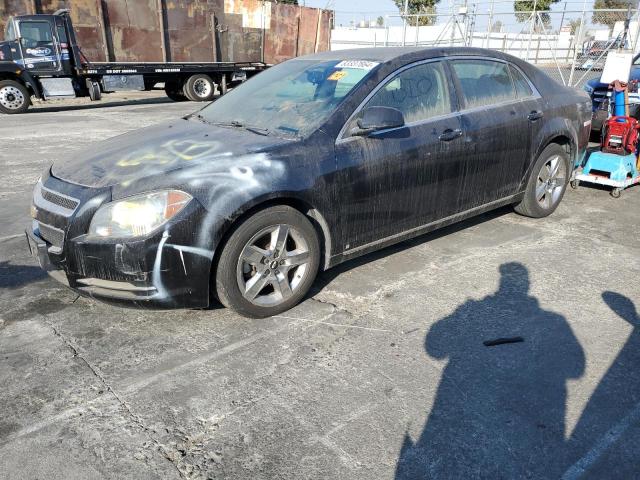 2009 CHEVROLET MALIBU 1LT #3029907250