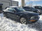 Lot #3024327045 2006 FORD MUSTANG