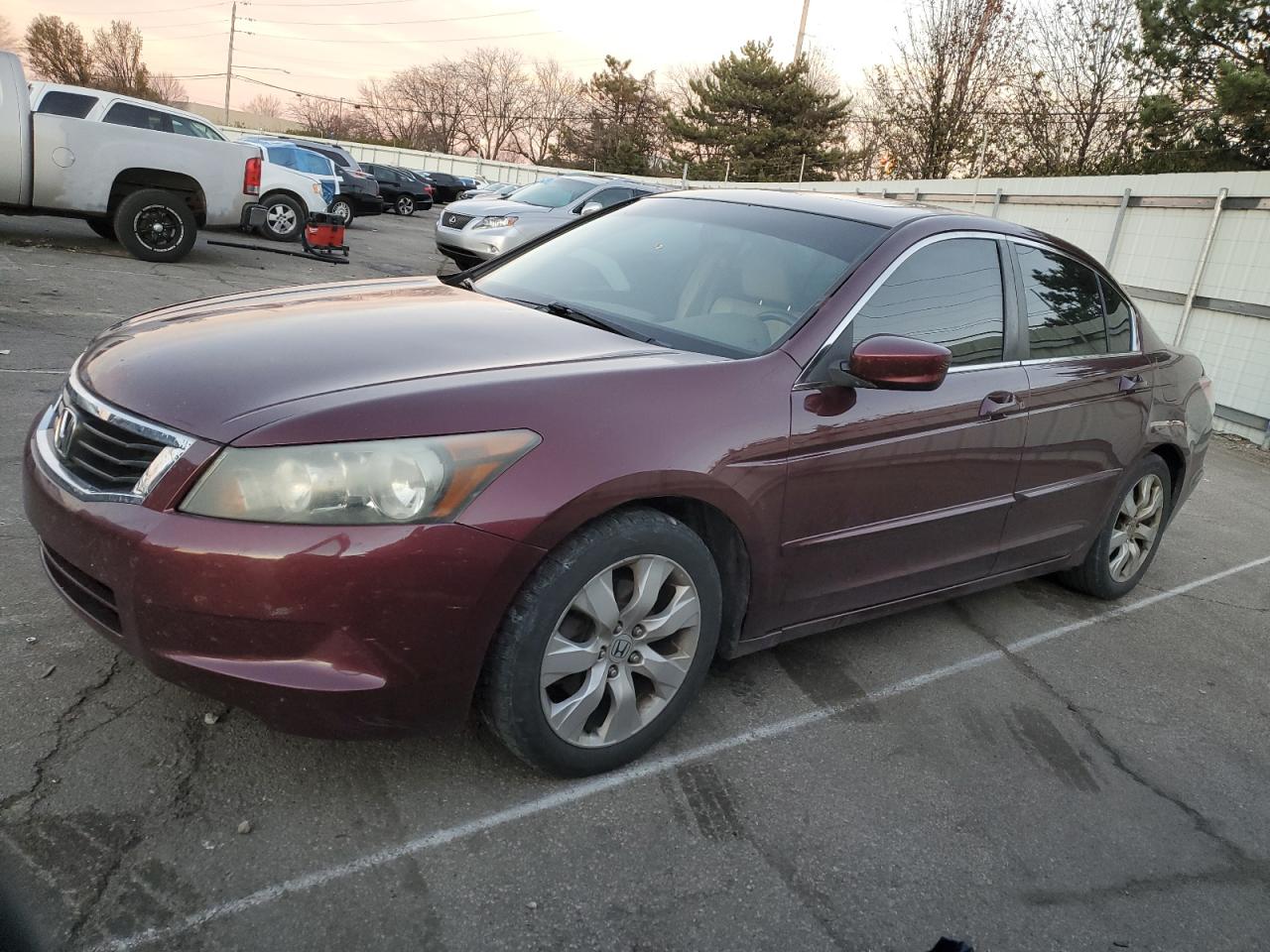 Lot #3029466718 2008 HONDA ACCORD EXL