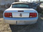 Lot #3024565623 2006 FORD MUSTANG