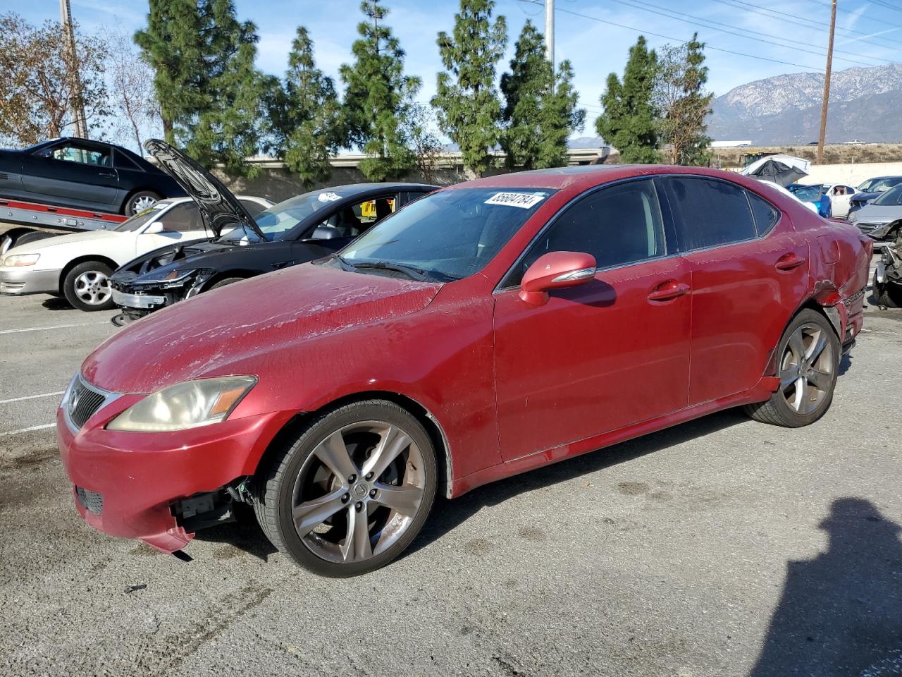 Lot #3029645086 2011 LEXUS IS 250