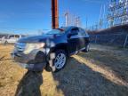 Lot #3023733931 2007 FORD EDGE SEL P