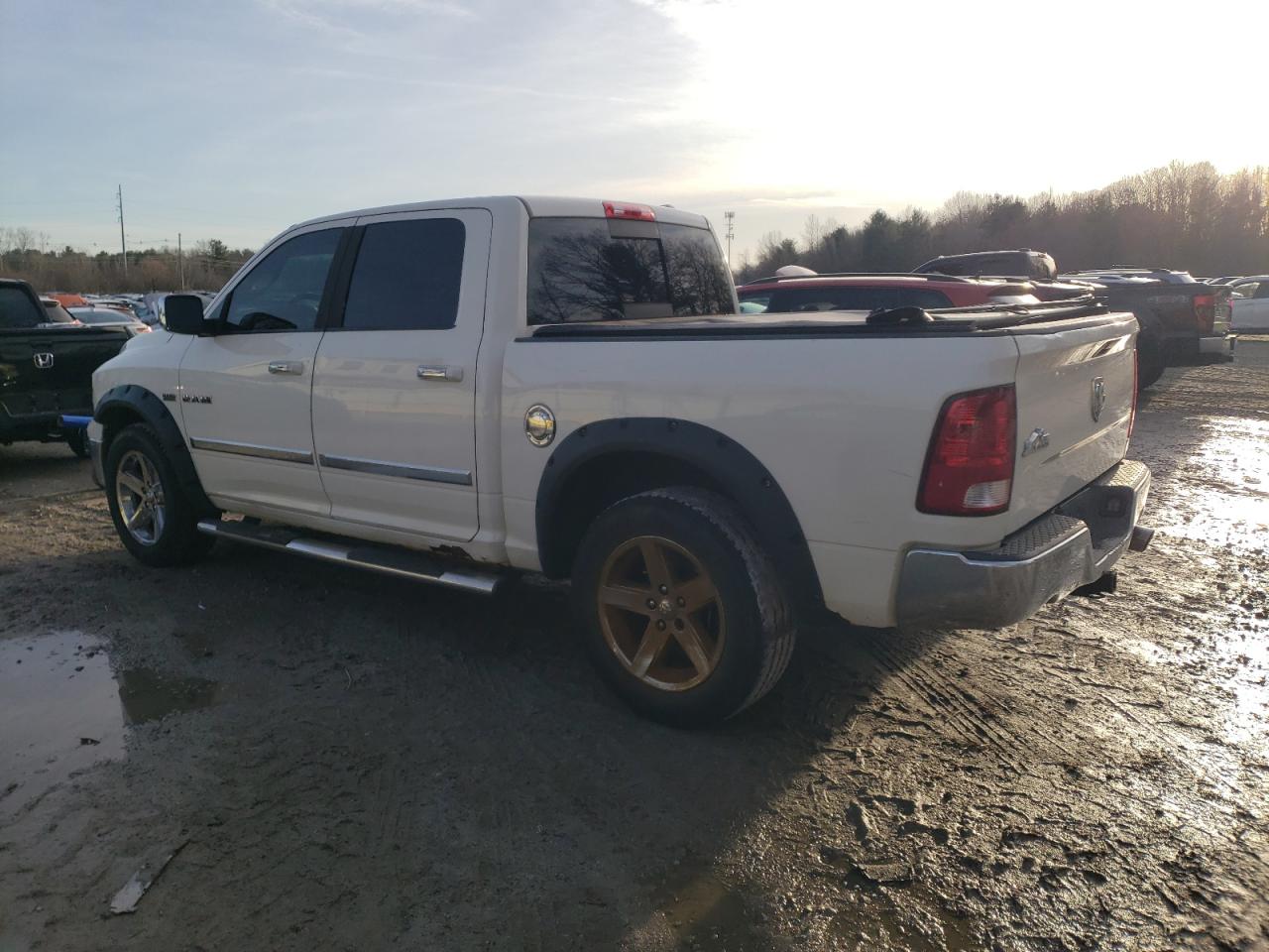 Lot #3033264811 2009 DODGE RAM 1500