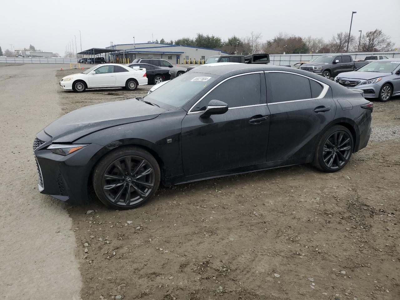 Lot #3033211810 2024 LEXUS IS 300