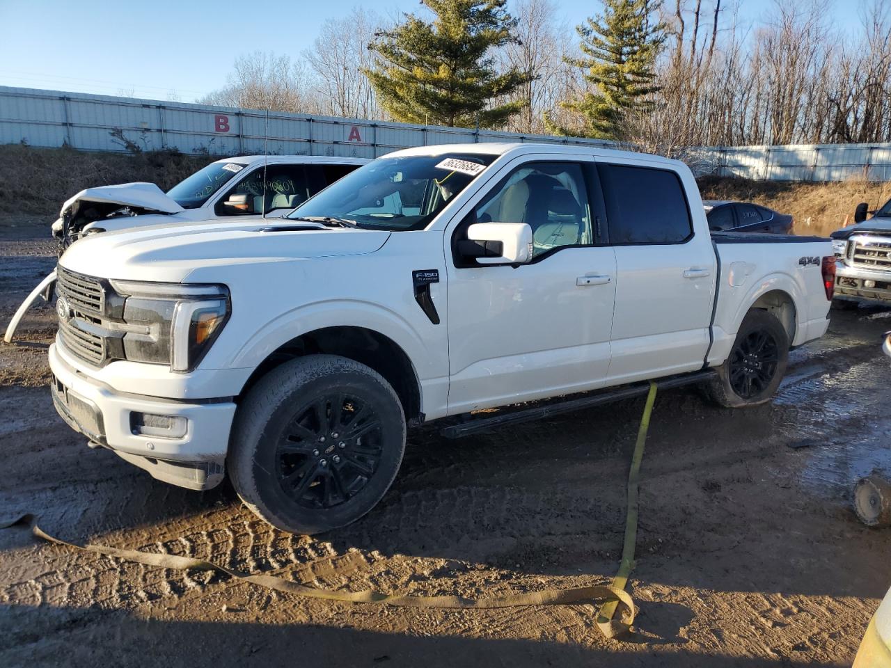  Salvage Ford F-150