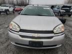 Lot #3034718646 2005 CHEVROLET MALIBU MAX