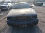 Lot #3041841415 2005 FORD CROWN VICT