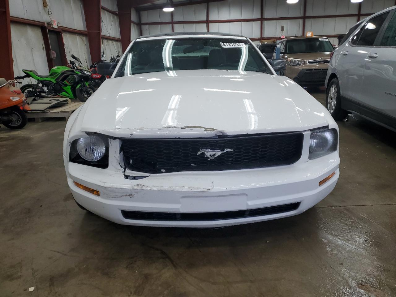 Lot #3024676691 2007 FORD MUSTANG