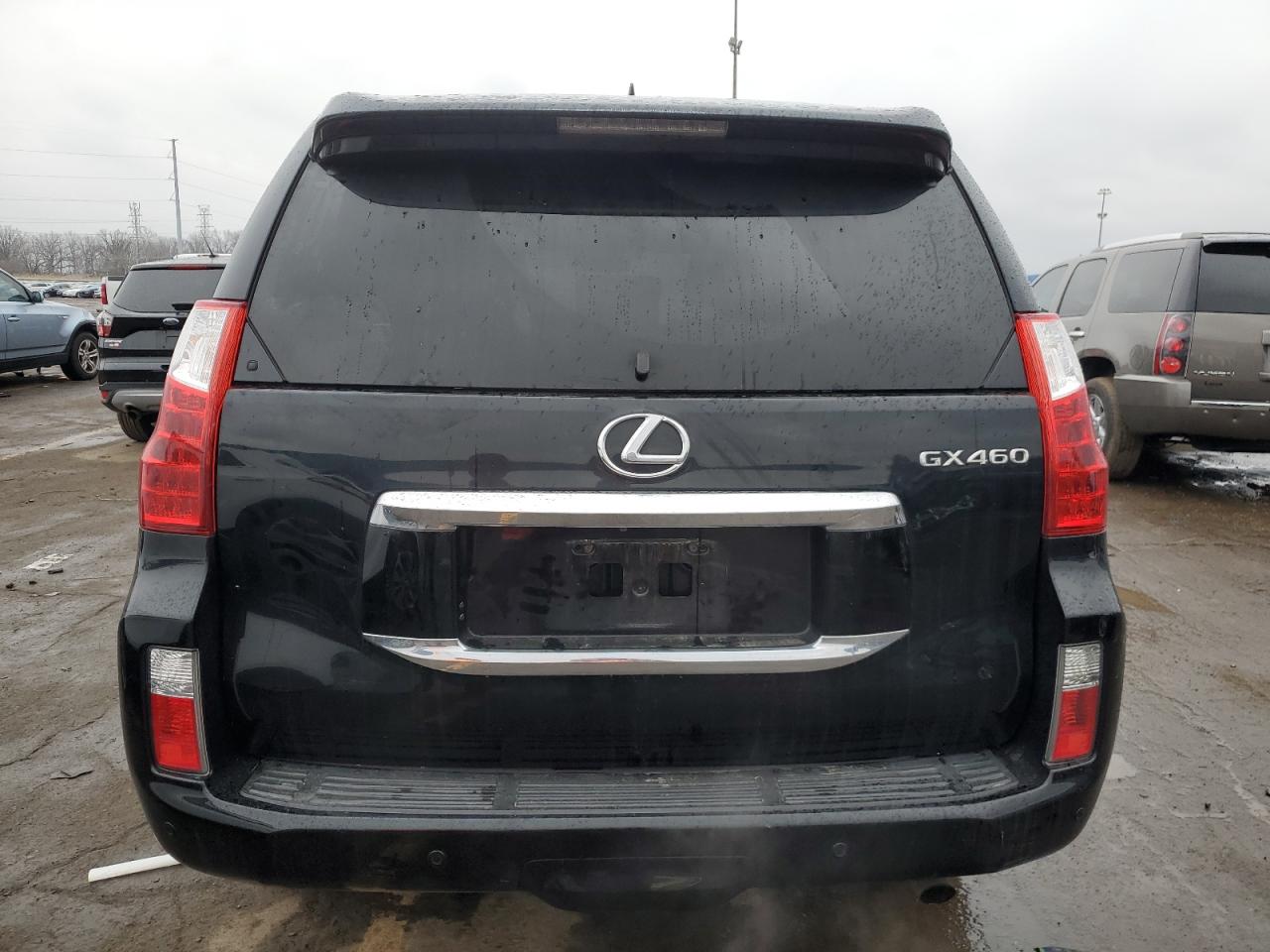 Lot #3034318072 2013 LEXUS GX 460