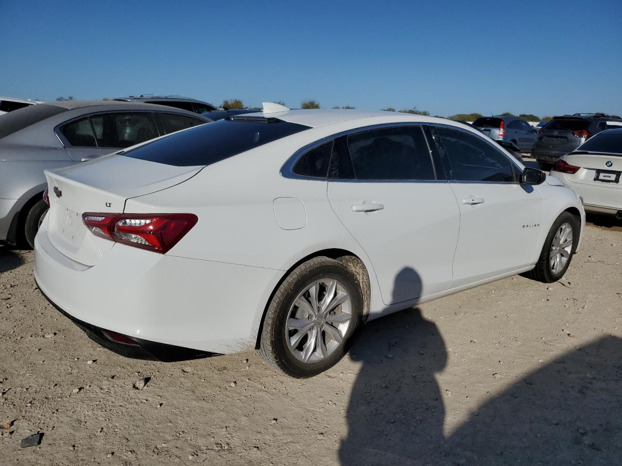 Lot #3025769307 2020 CHEVROLET MALIBU LT