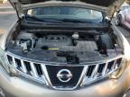 Lot #3029871250 2010 NISSAN MURANO S