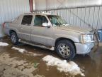 Lot #3030771123 2006 CADILLAC ESCALADE E