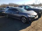 Lot #3023909263 2016 HONDA ACCORD EXL