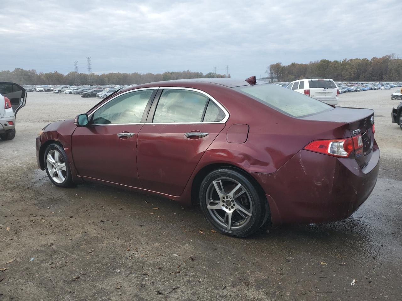 Lot #3033008990 2010 ACURA TSX