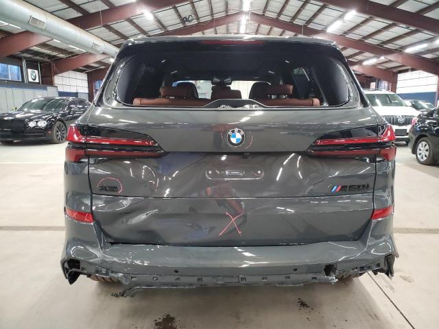 VIN 5UX33EU06S9W32977 2025 BMW X5 M60I no.6