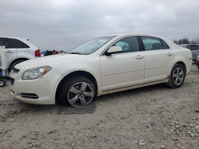 2011 CHEVROLET MALIBU 1LT #3034442729