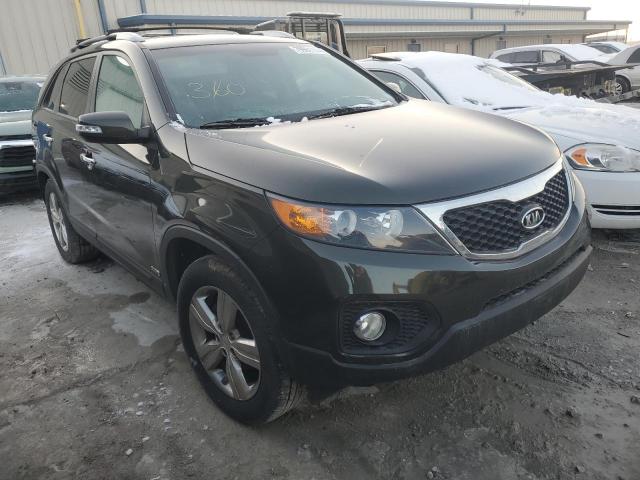 Vin: 5xykuca65dg316687, lot: 79961114, kia sorento ex 20134
