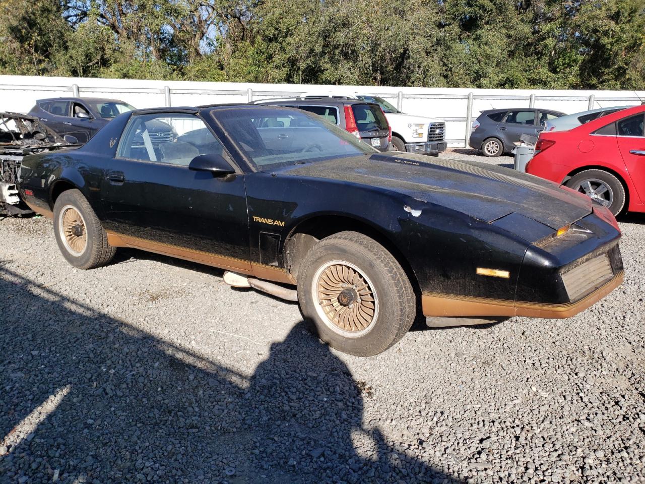 Lot #3031489818 1983 PONTIAC FIREBIRD T