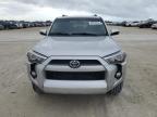 Lot #3024982130 2019 TOYOTA 4RUNNER SR