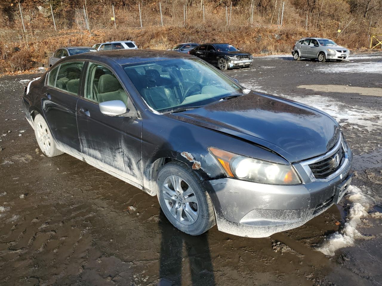 Lot #3034495744 2010 HONDA ACCORD