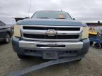 Lot #3050812109 2009 CHEVROLET SILVERADO