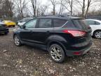 Lot #3023823913 2013 FORD ESCAPE SE