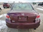 Lot #3024077646 2010 HONDA ACCORD EXL