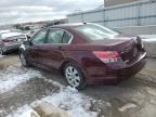 Lot #3024077646 2010 HONDA ACCORD EXL