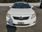 Lot #3023940242 2010 TOYOTA COROLLA BA