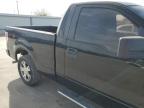 Lot #3024953430 2009 FORD F150