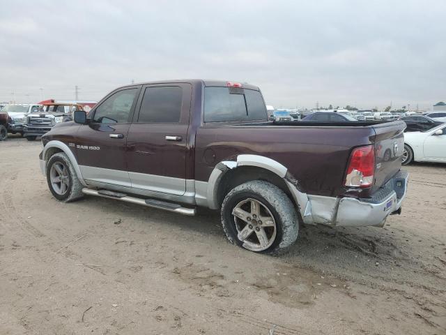 DODGE RAM 1500 L 2012 brown  gas 1C6RD7NT7CS247829 photo #3