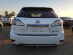 Lot #3030875507 2011 LEXUS RX 350