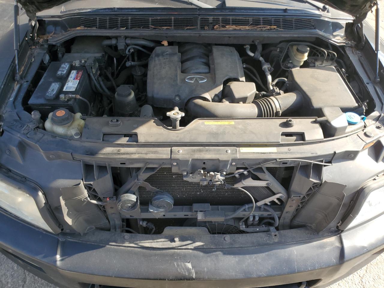 Lot #3024144855 2006 INFINITI QX56