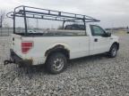 Lot #3030805463 2013 FORD F150