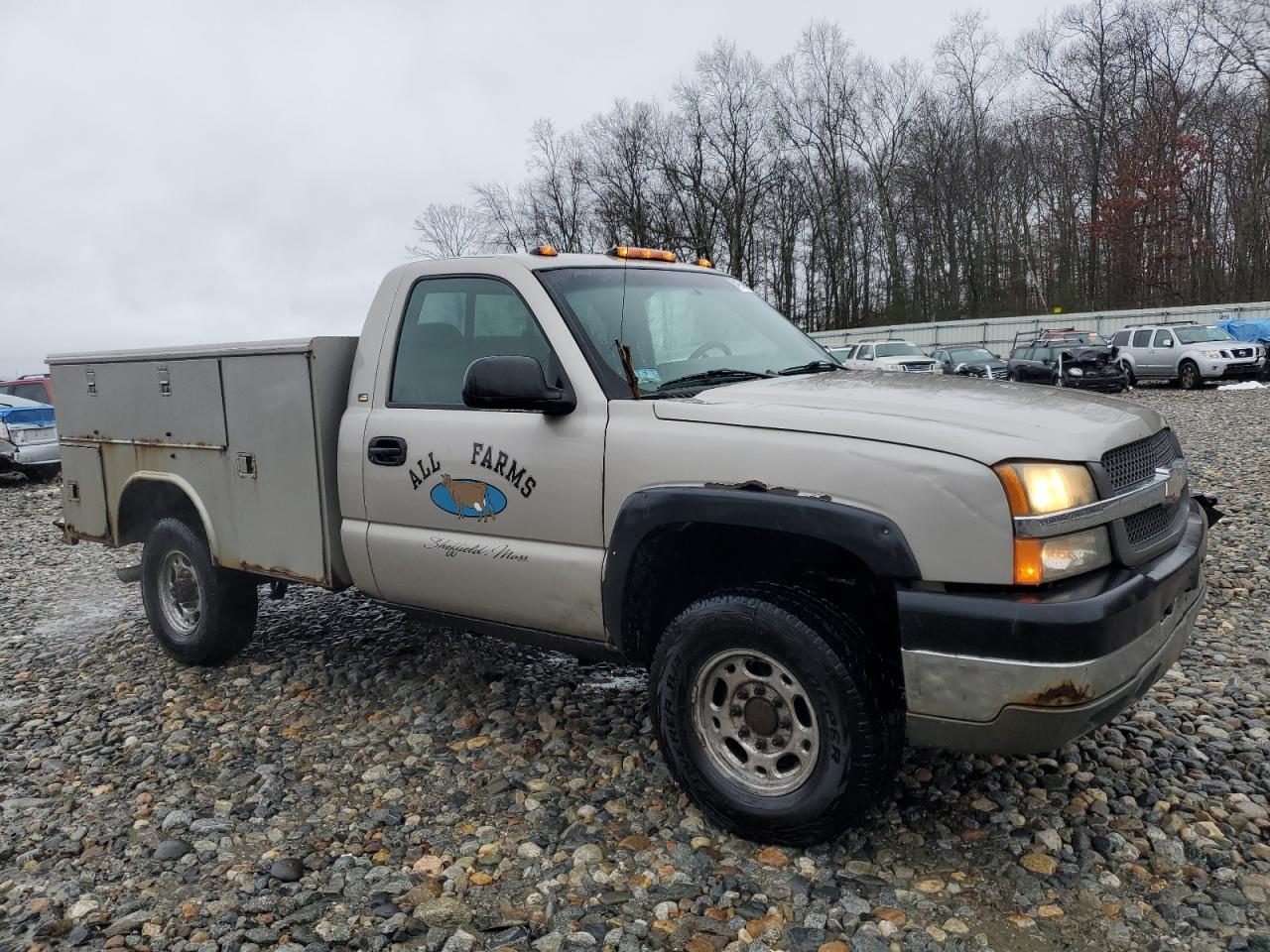 Lot #3024696713 2004 CHEVROLET SILVERADO