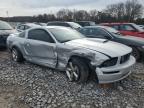 Lot #3025088228 2009 FORD MUSTANG GT